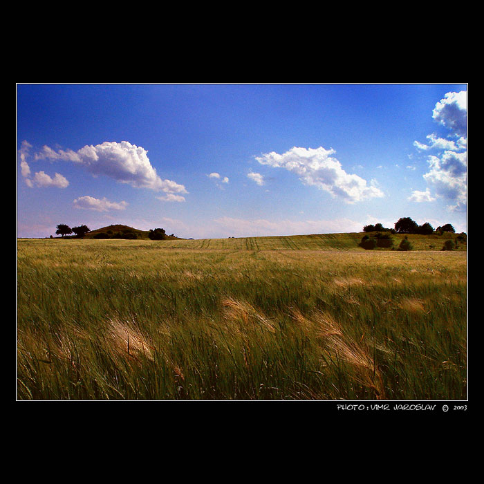 - U  NÁS  - v pravé poledne -