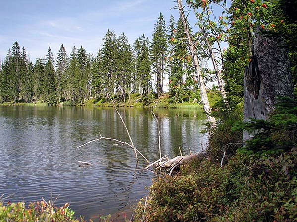 Prášilské jezero