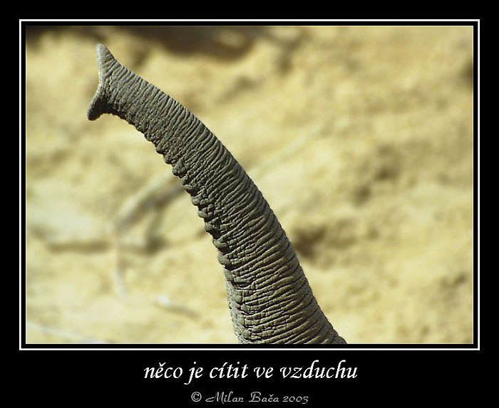 něco je cítit ve vzduchu