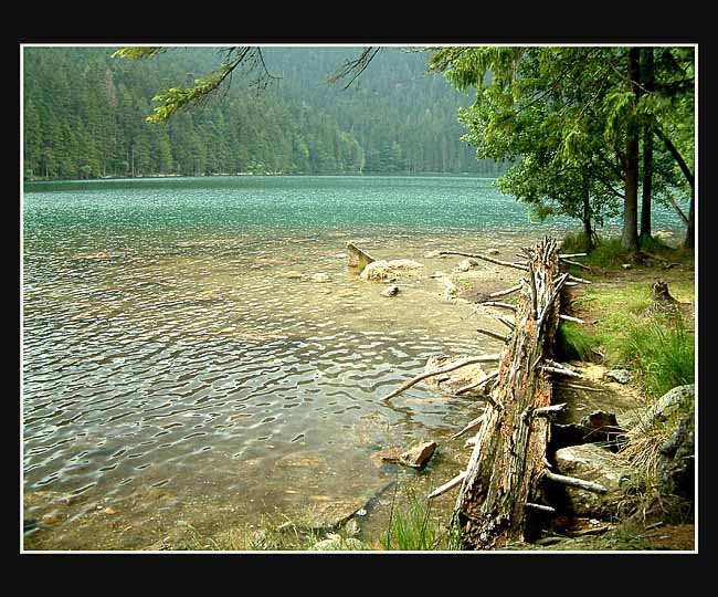 Black lake