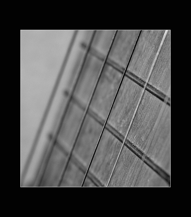 The guitar
