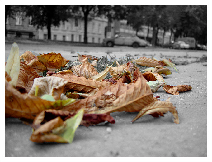 Autumn is not welcome...