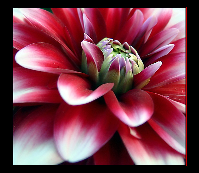 <b>Magic of the Color</b>