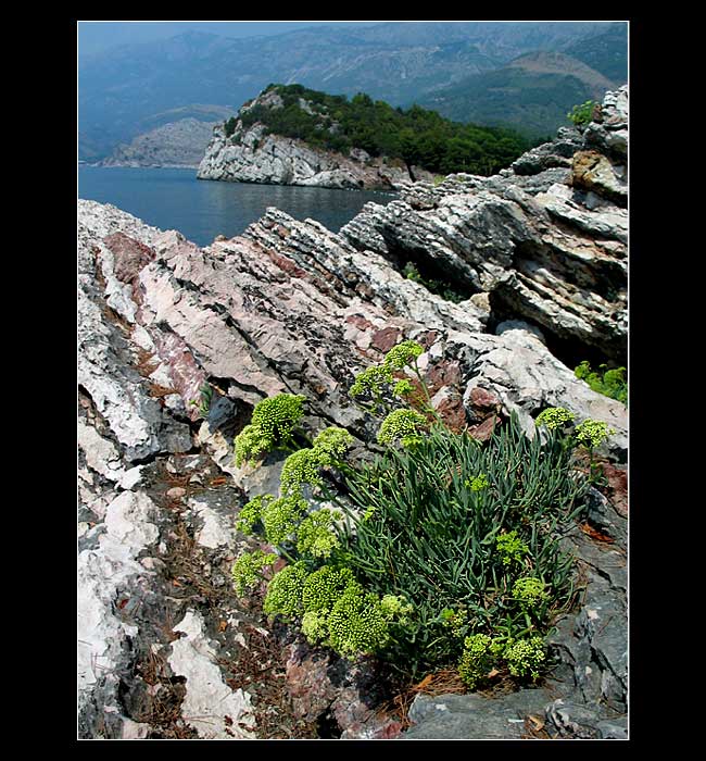 Montenegro