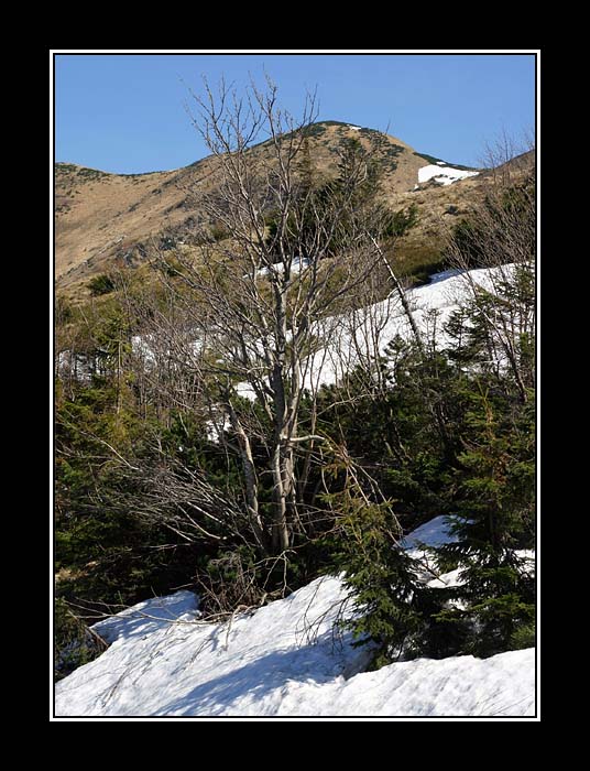 Čtvero ročních období