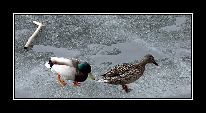 Až tě chytím, tak tě....