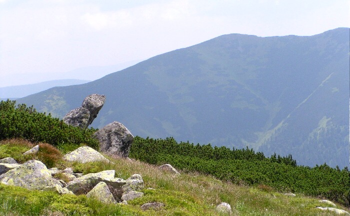 Na jižní straně Chopku (Nízké Tatry)