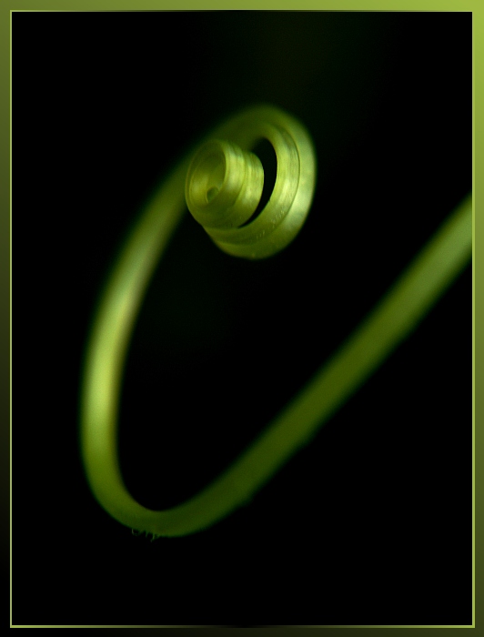 Spirála
