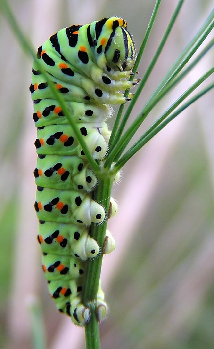 Držím se co můžu!