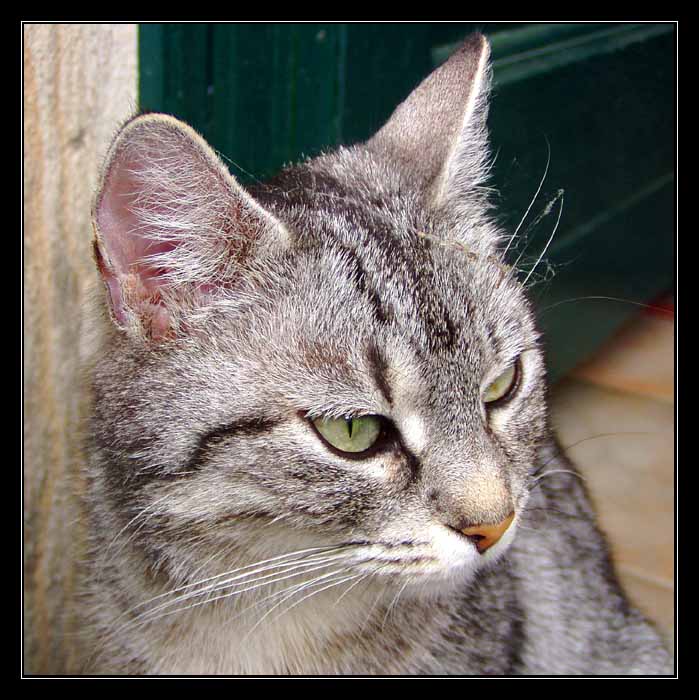 Soustředění