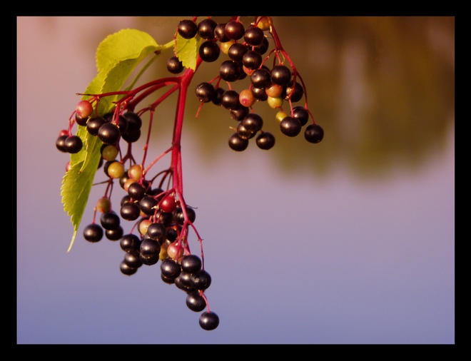 Podzim přichází...