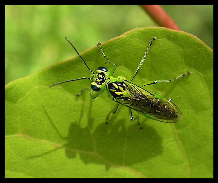 ET v průhledném skafandru
