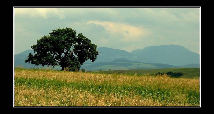 Liptov