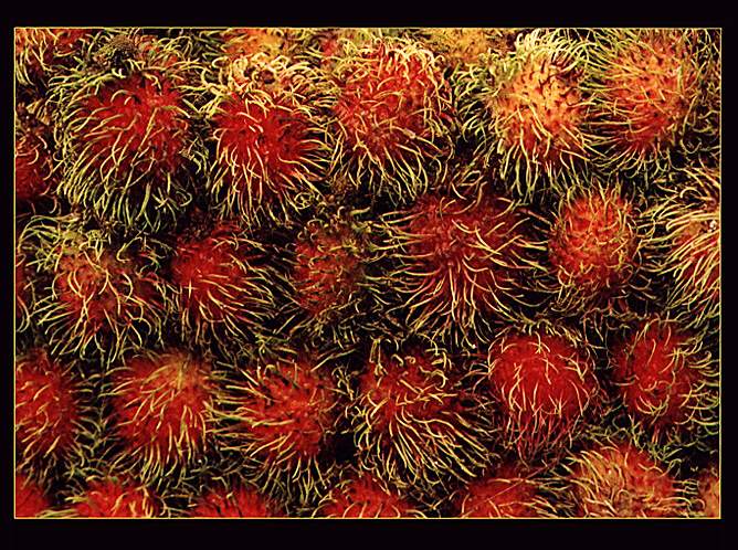 Lichi