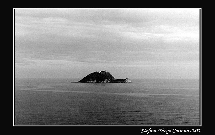Tartaruga in movimento!