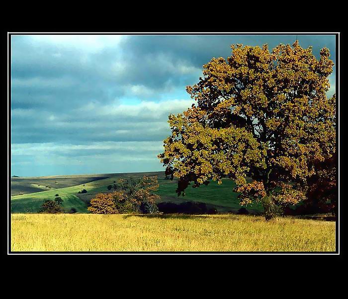 Podzim v Certoryjich