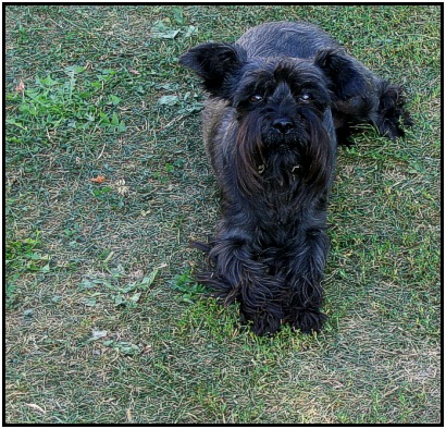 _: <B> Bonnie </B> :_