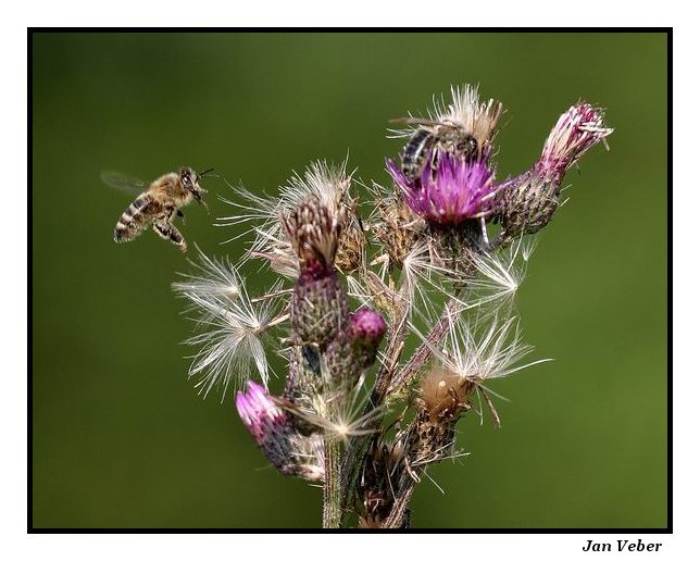 Na cestě k něčemu dobrému...