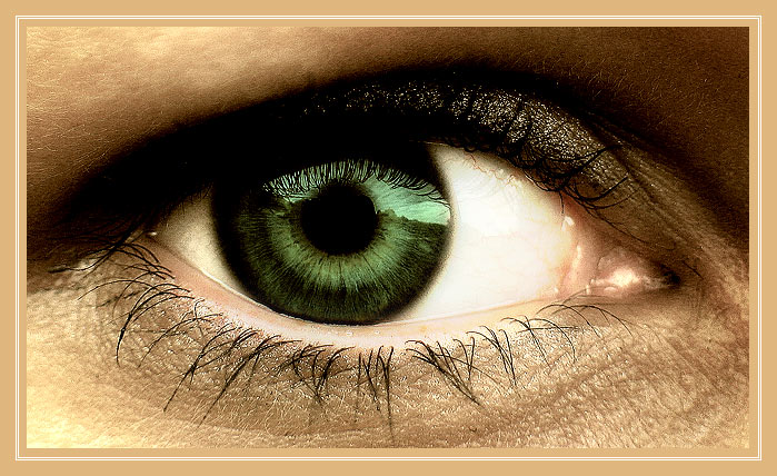 - EYE -