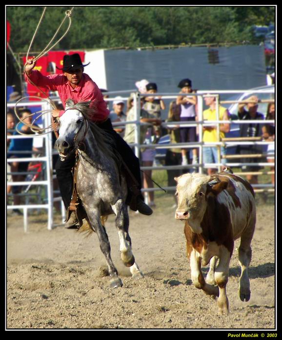 Muráňske rodeo - Chytím ťa?