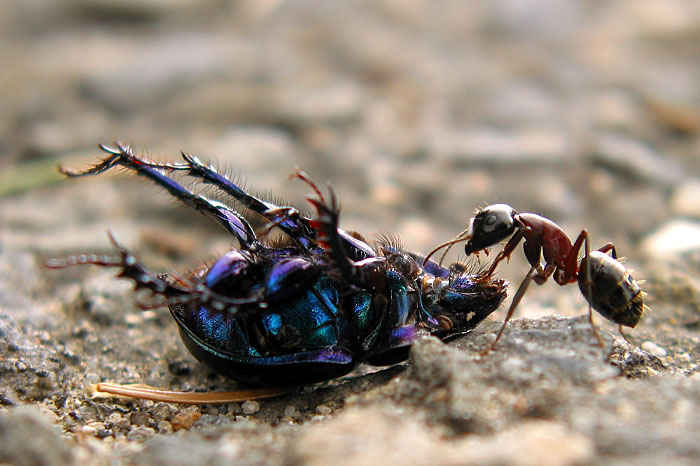 Velikost není důležitá, hlavní je styl