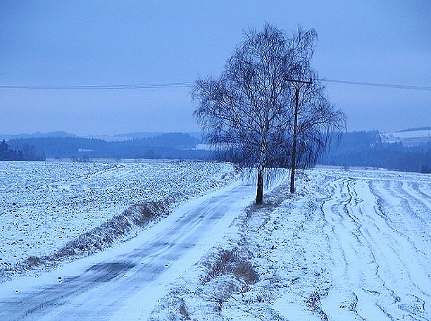 Kouřmo