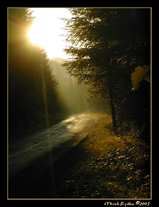 Po dešti I.<BR>(Šumava)