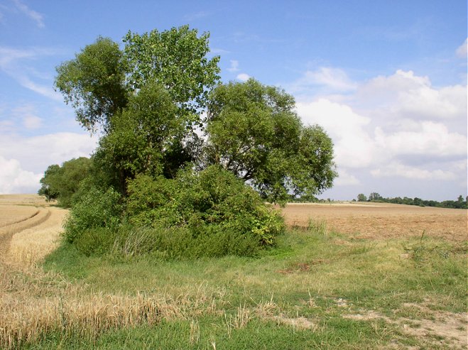 Strážcovia úrody