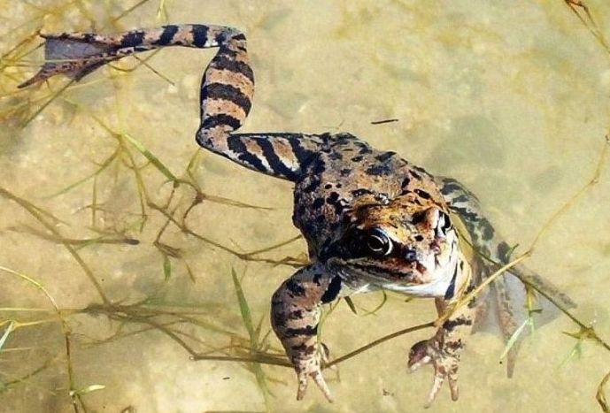 Plavu si, ani nevím jak ...