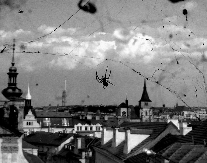Pavoučí výhled na Prahu...