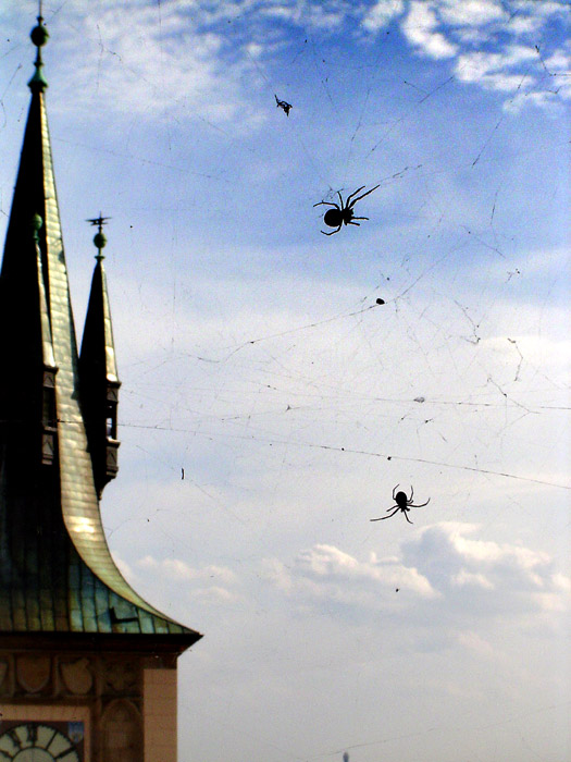 Pavoučí výhled na Prahu II.