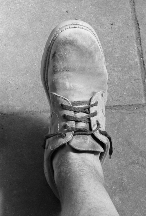 Bota