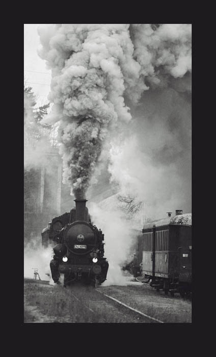 STEAM