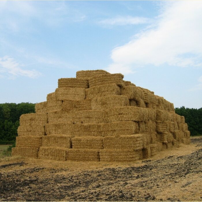 Pyramida někde v Česku