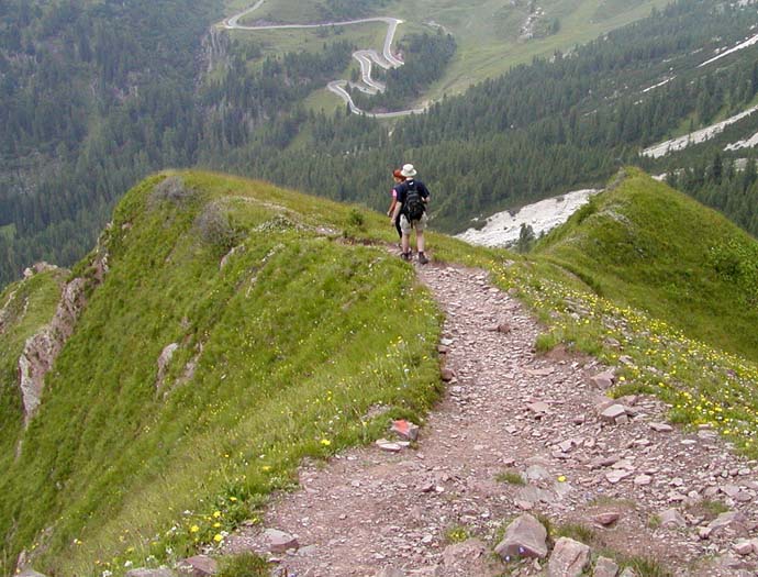 Hřebenovka