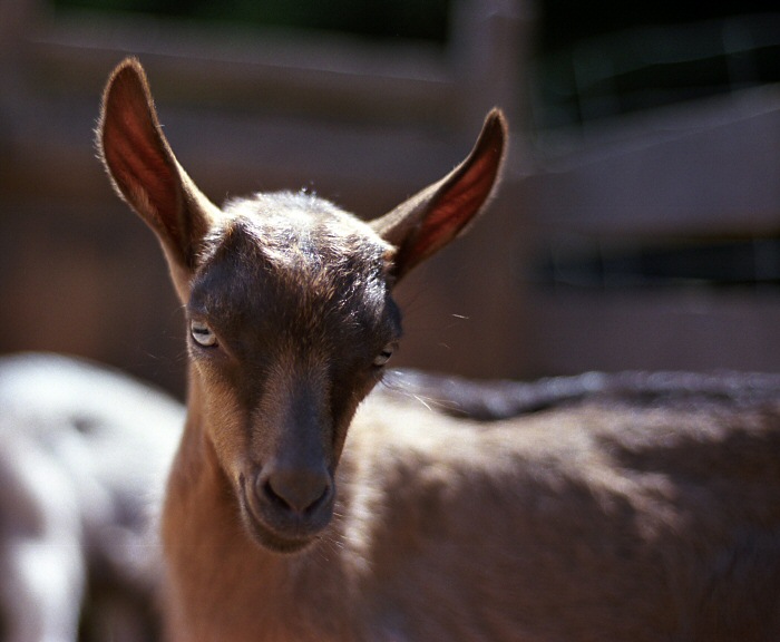 To myslíš vážně, že mě budeš fotit ? :o)