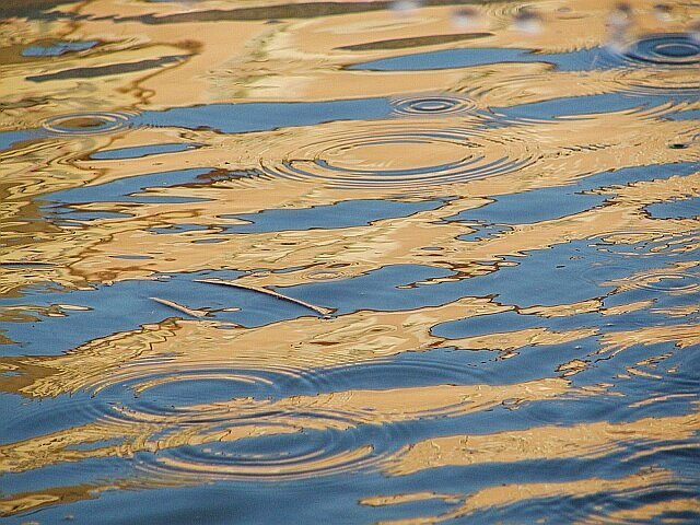 Rain of an early evening