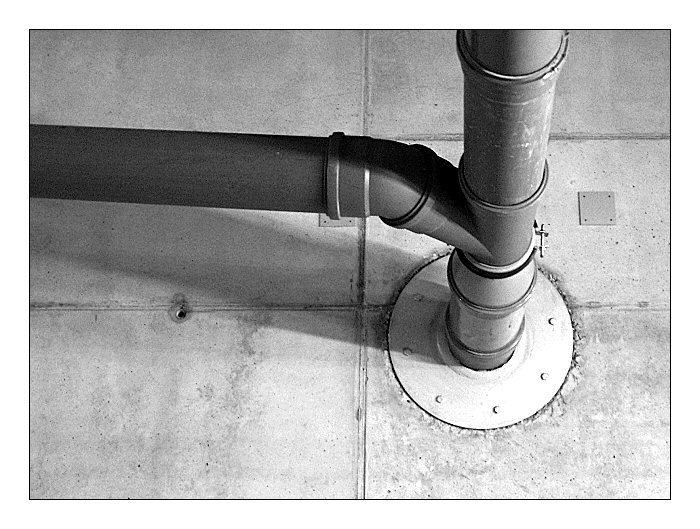 Company rectum<br>(inside view)