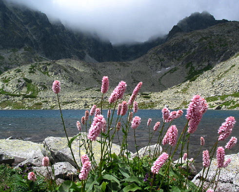 Tatranské zastavení ...