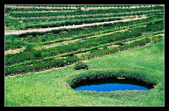 Neretva III.