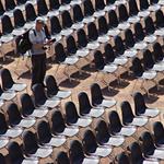 Zátiší fotografické