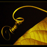 Šperky kolem nás...