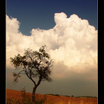 ...jasno, k večeru od západu oblačno a bouřky...