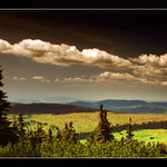 .:: Cestou na Výrovku ::.