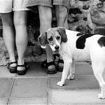 Mám to s nima těžký, oni koukaj z rozhledny, na mě kašlou a já vidím velký kulový....