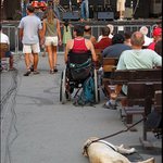 Připoutanost ...