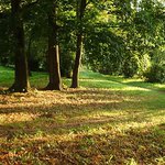 Petrohradský park II