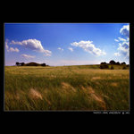 - U  NÁS  - v pravé poledne -