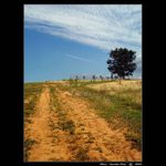 - jen tak - u nás -