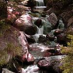 Odstíny a sytost, toho času na Šumavě